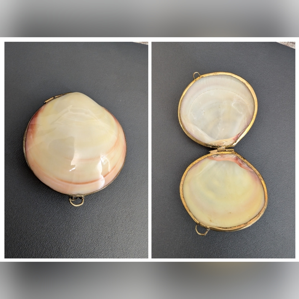Hand Crafted Polished Tiger Clam and Brass Trinket Box